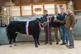 Champion beast from Ben Radley-2